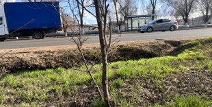 Туман, дождь и гроза: в каких регионах Казахстана объявили штормовое предупреждение