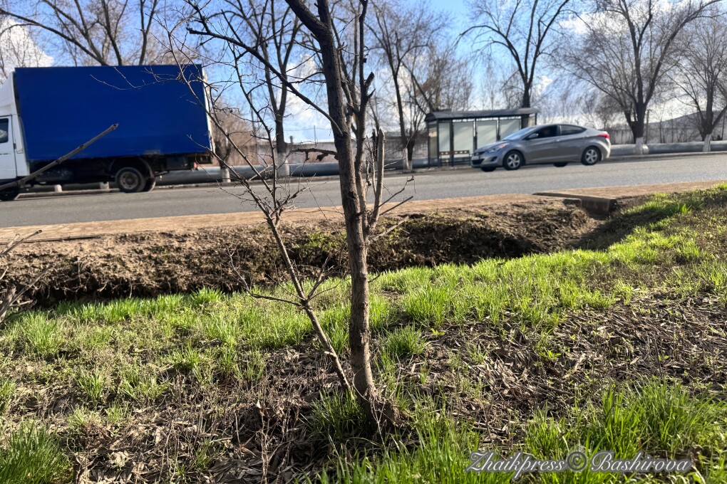 Туман, дождь и гроза: в каких регионах Казахстана объявили штормовое предупреждение