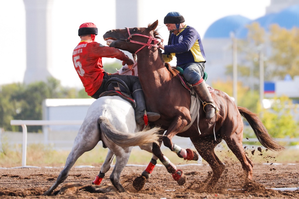 жп көкпар (1)