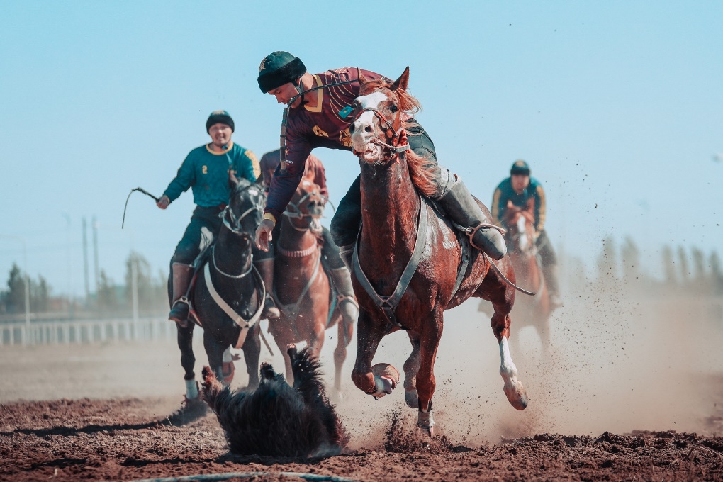 жп көкпар (10)