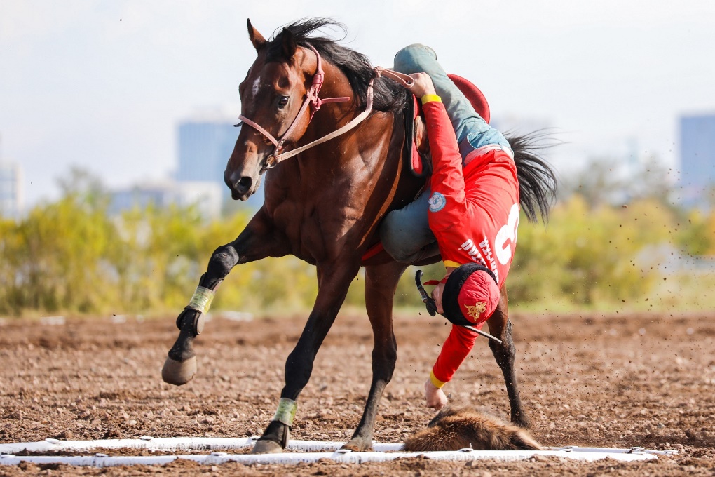 жп көкпар (2)