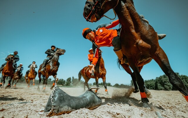 Көкпар ойыны