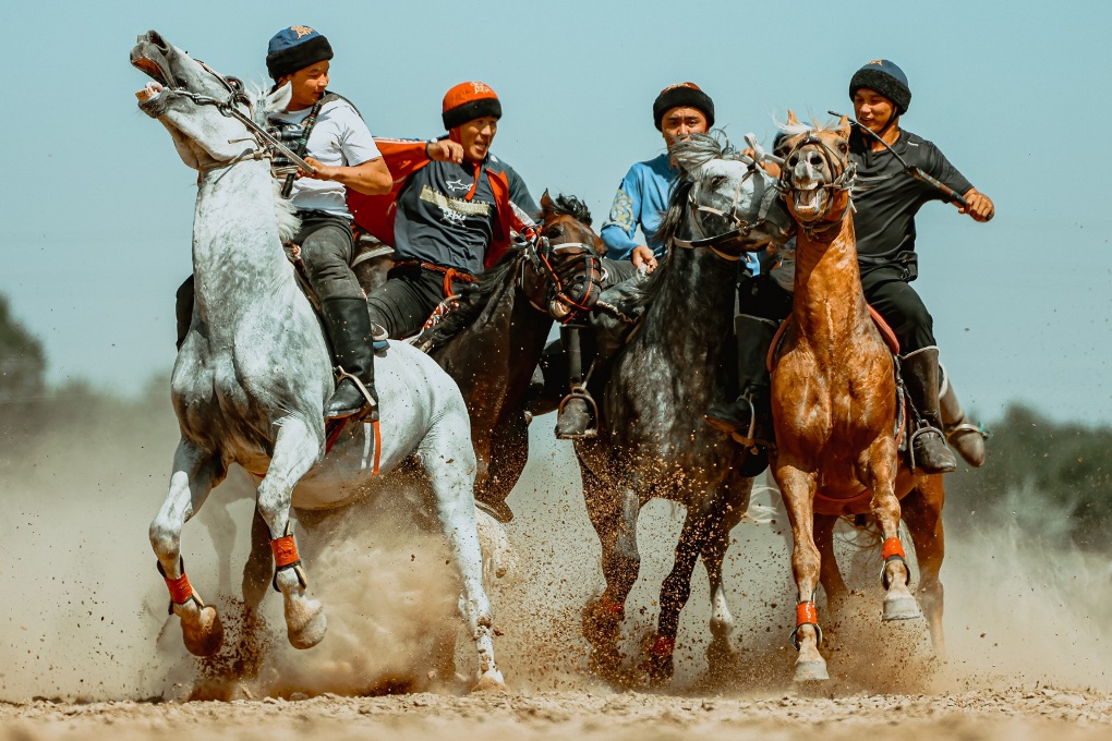 жп көкпар (4)