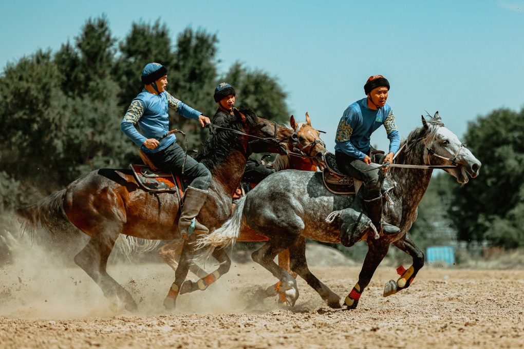 жп көкпар (5)