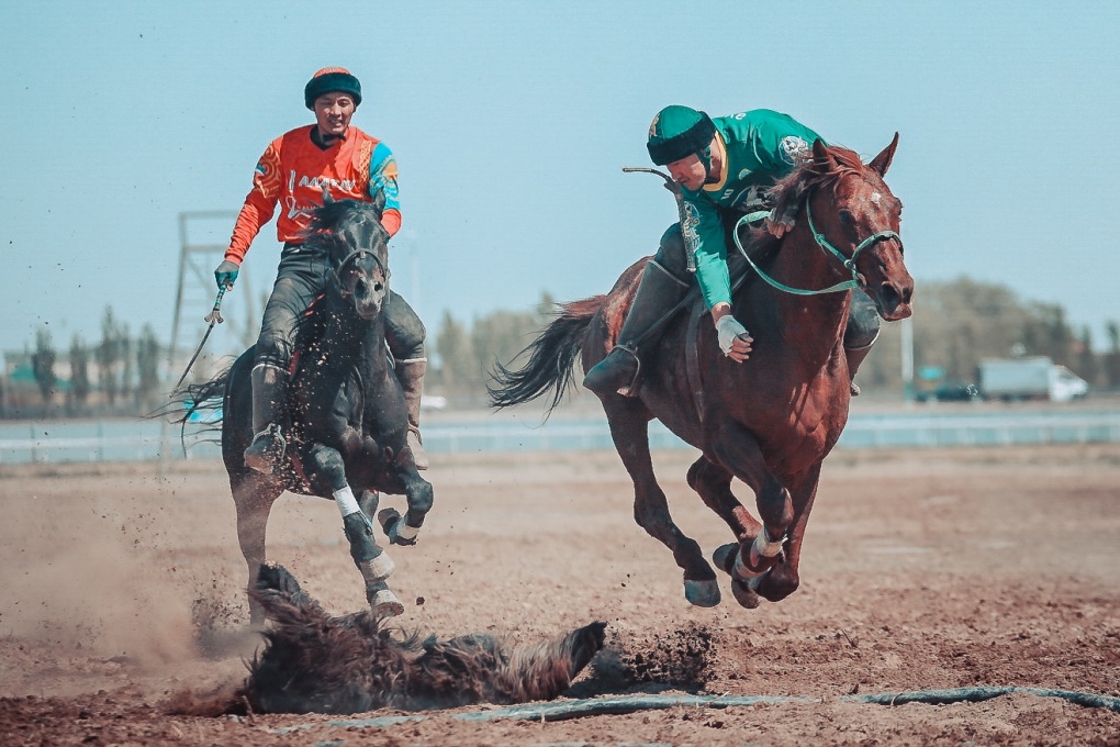 жп көкпар (7)