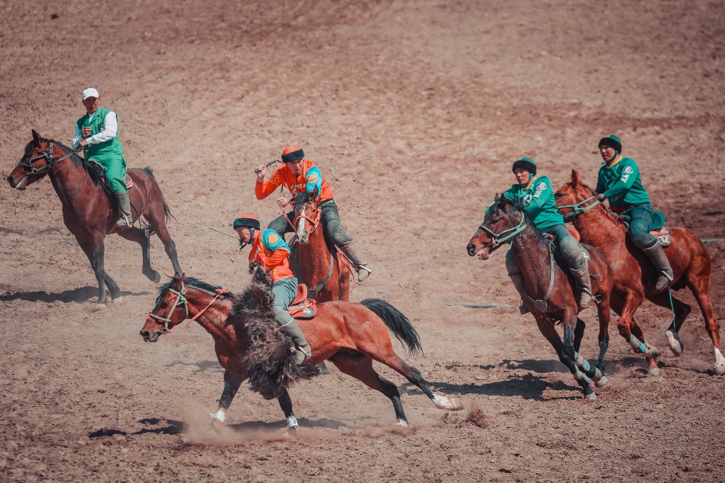 жп көкпар (8)