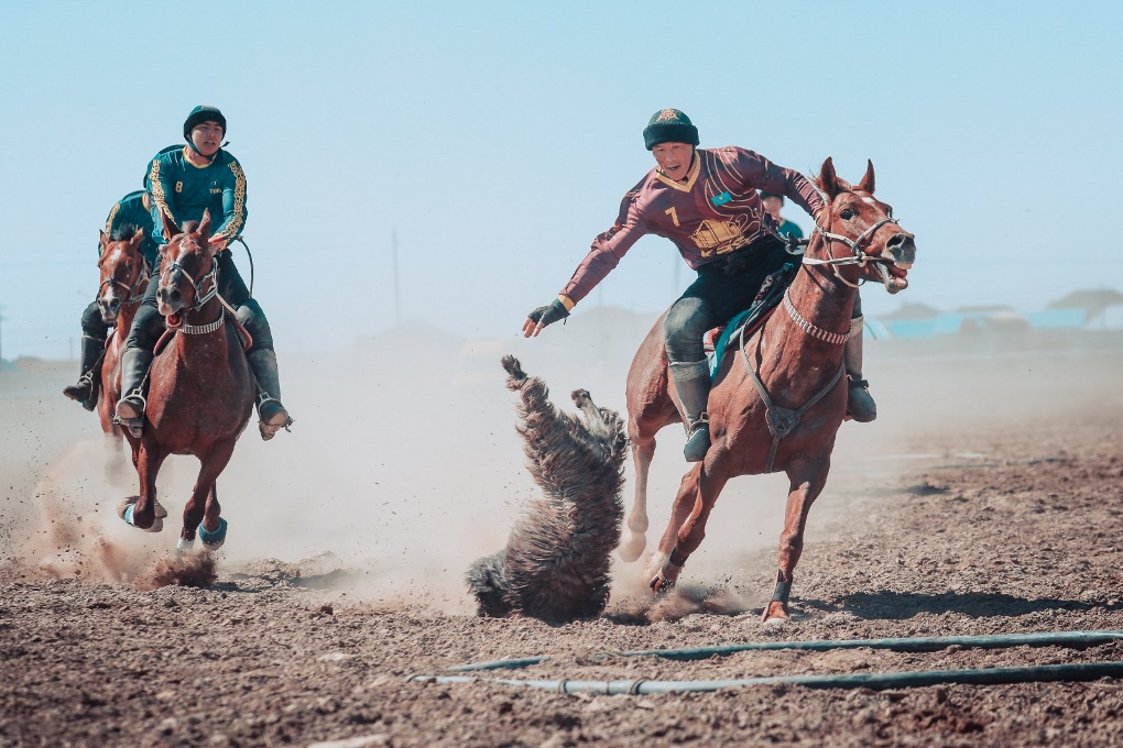 жп көкпар (9)