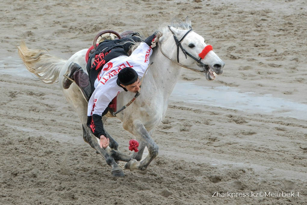 жп теңге ілу (5)