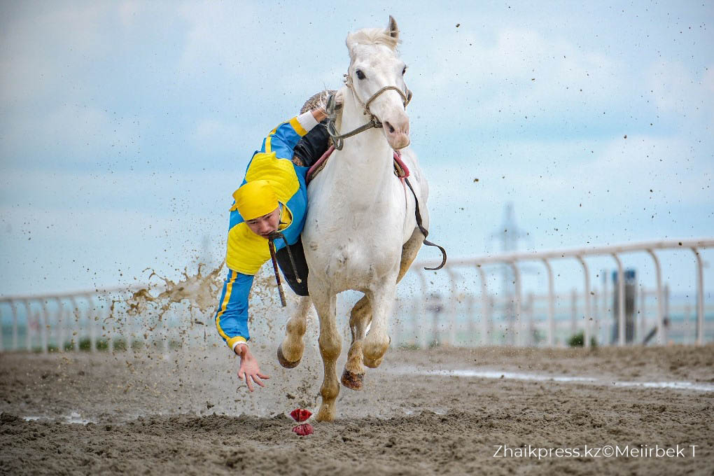 жп теңге ілу (8)