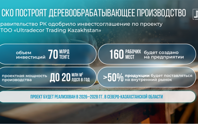 Правительство одобрило инвестиционное соглашение по строительству деревообрабатывающего завода в Северо-Казахстанской области