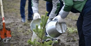 Таза қазақстан: высажено 1000 саженцев деревьев