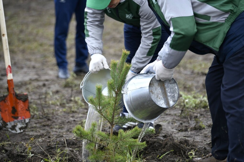 122cc810-0861-4b04-8c1c-9ef7bb2396ea