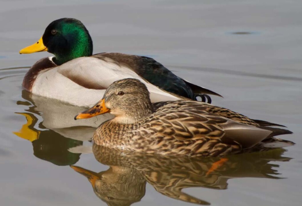 2026-03-30_16-16-00 копия