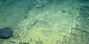 Ученые обнаружили на дне океана сухую 