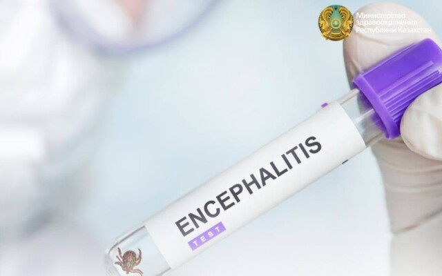 Как защитить себя себя от укусов клещей и что надо знать о клещевом энцефалите?