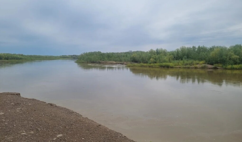 8a6ae68d-9f5e-4e72-9f67-cfa24df86d11