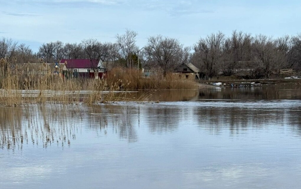 90a8ec11-89af-4623-9928-6aff4e90198a (1)