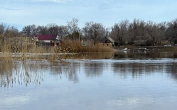 90a8ec11-89af-4623-9928-6aff4e90198a