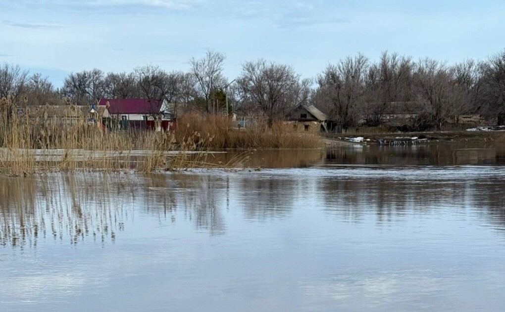 90a8ec11-89af-4623-9928-6aff4e90198a