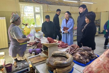 Алтын Алма (1)