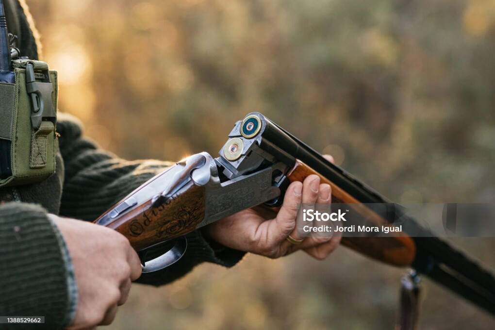 Crop unrecognizable male hunter loading cartridges in hunting rifle for capturing or killing wild animals in woods