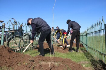 PHOTO-2026-04-17-17-37-29 (1)