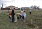 Қаратөбе ауданындағы сенбілікте 14 гектар аумақ тазартылды