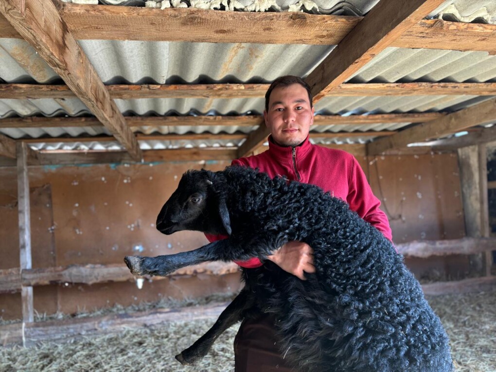 WhatsApp Image 2026-04-08 at 17.35.46 (5)