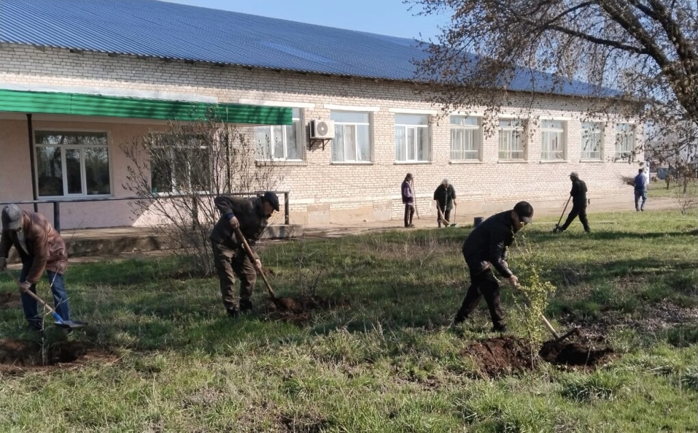 WhatsApp Image 2026-04-17 at 12.40.07