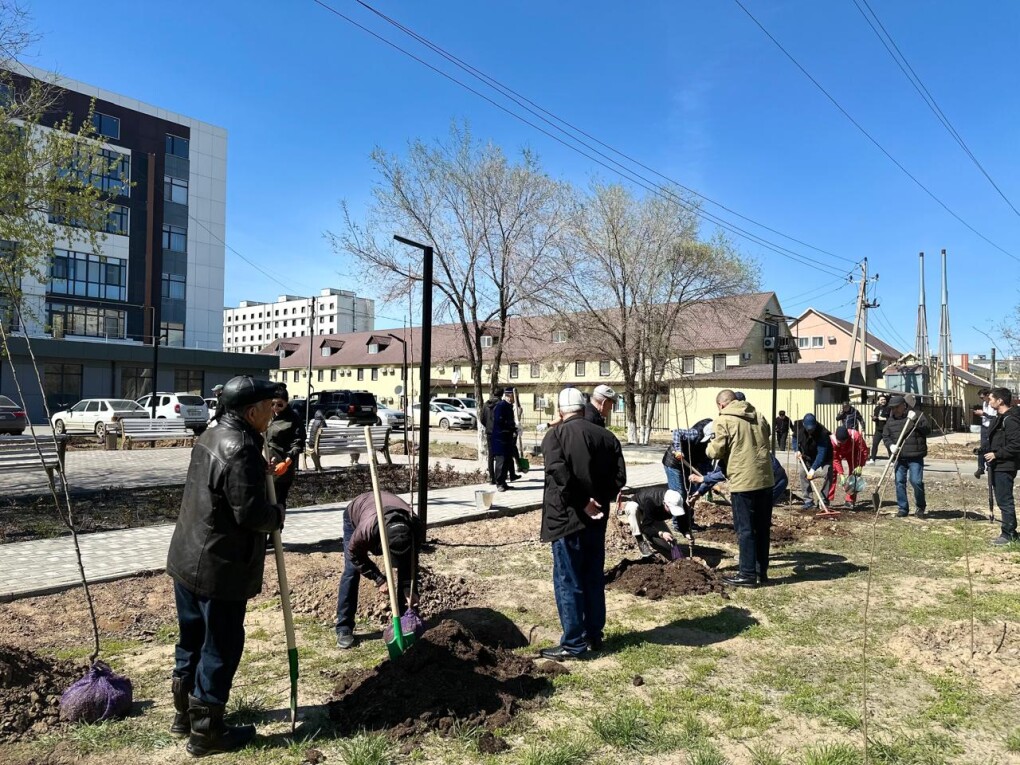 WhatsApp Image 2026-04-17 at 15.26.58 (1)