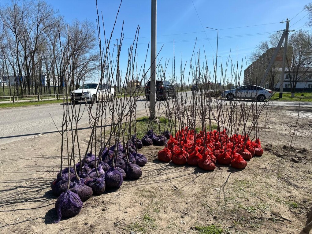 WhatsApp Image 2026-04-17 at 15.31.08