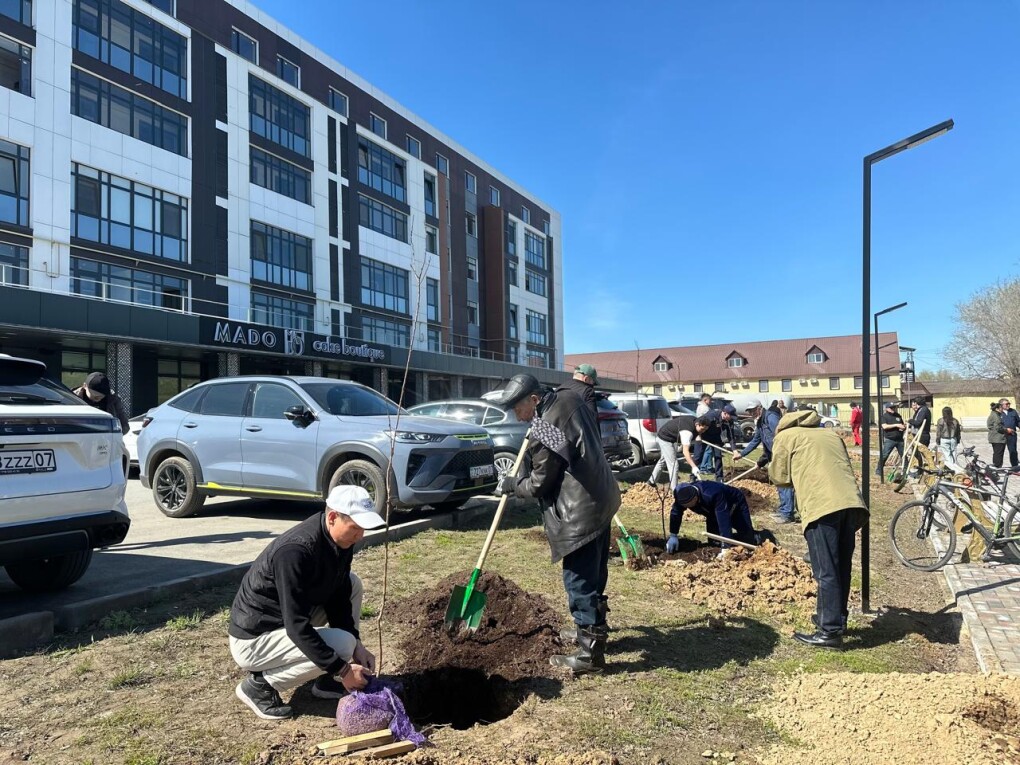 WhatsApp Image 2026-04-17 at 15.33.14