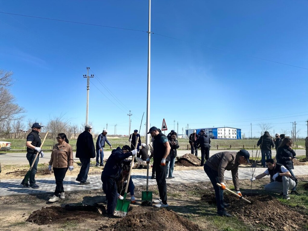 WhatsApp Image 2026-04-17 at 15.36.13