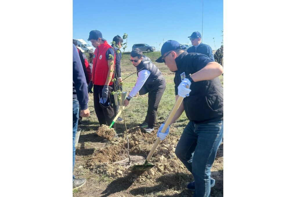 WhatsApp Image 2026-04-21 at 14.15.42