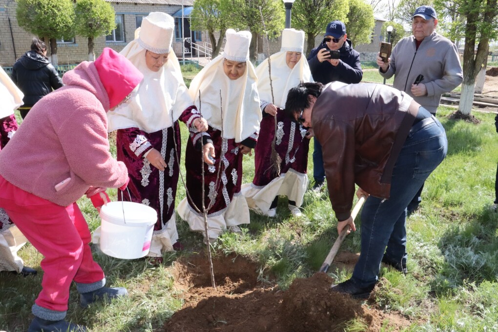 WhatsApp Image 2026-04-25 at 15.01.39 (6)