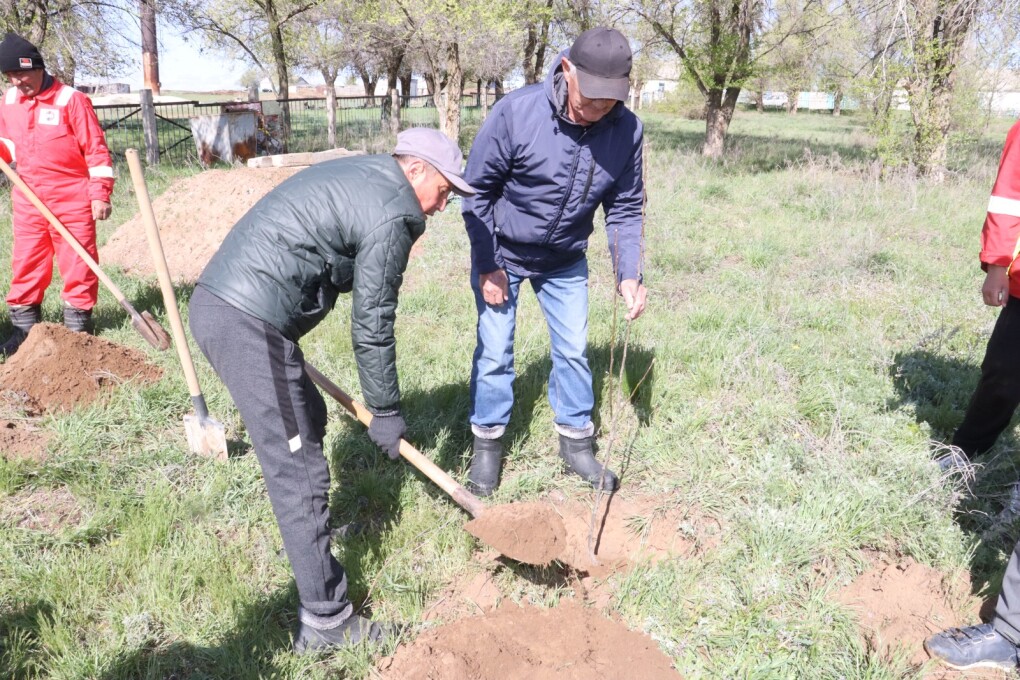 WhatsApp Image 2026-04-25 at 15.01.39 (7)