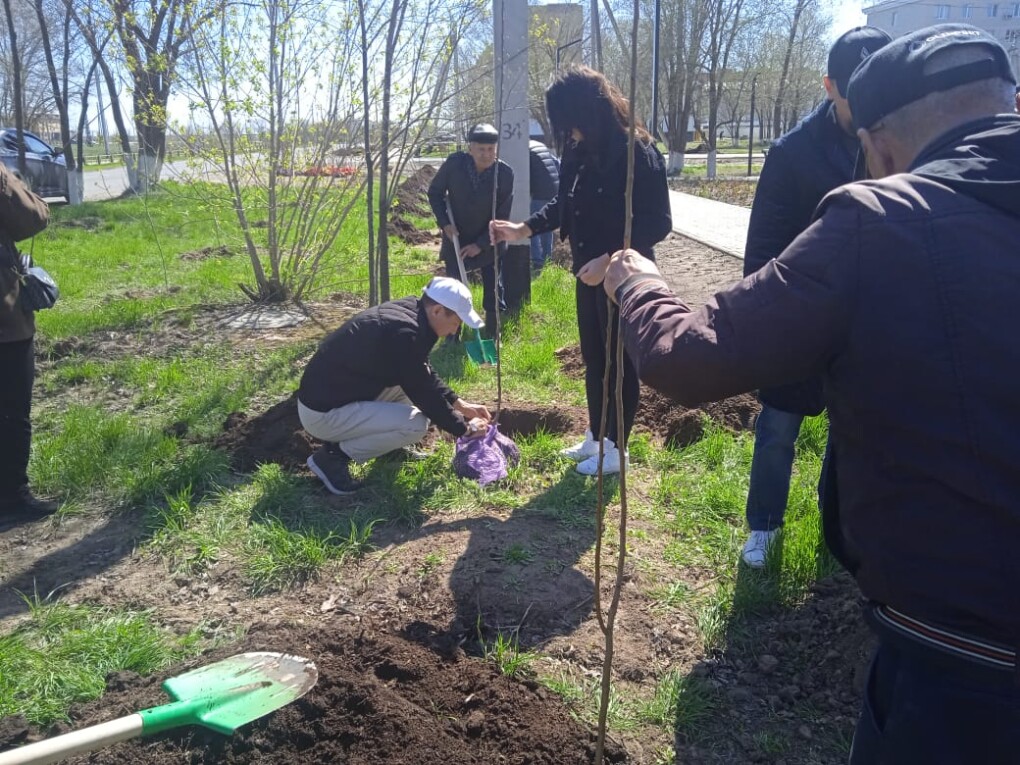 WhatsApp Image 2026-04-27 at 13.03.37