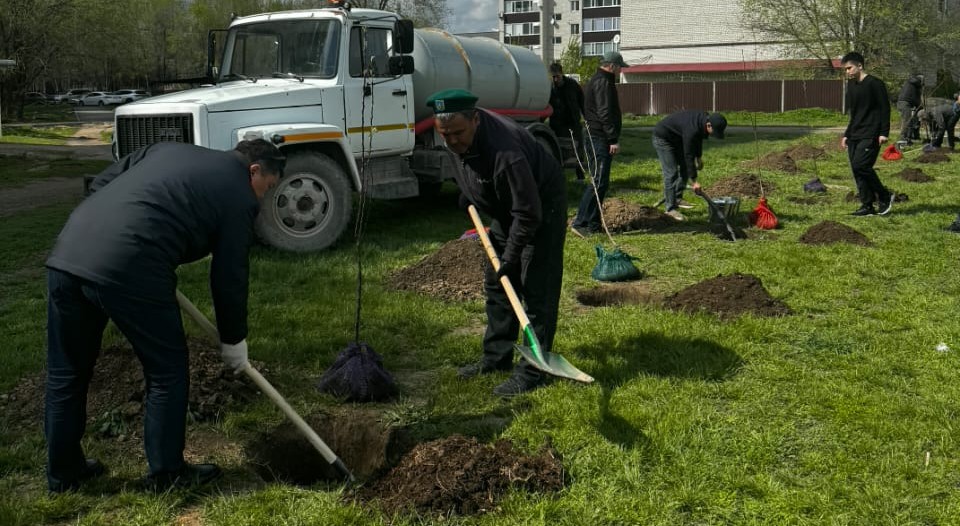 WhatsApp Image 2026-04-27 at 13.09.22