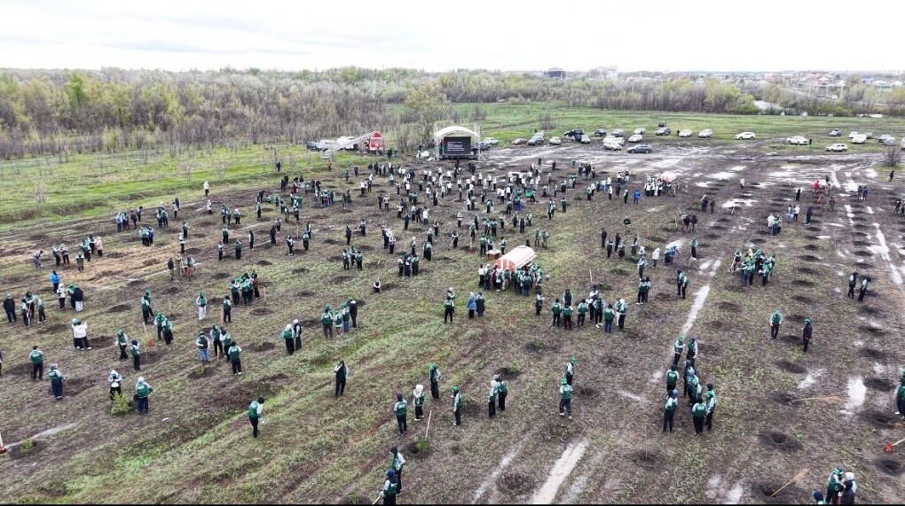 b8adabe6-8421-4416-b339-5dea370e0e60