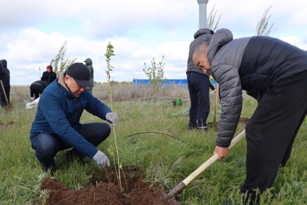 dc41db22-2f40-4de5-ac94-1c9d2d31f50b