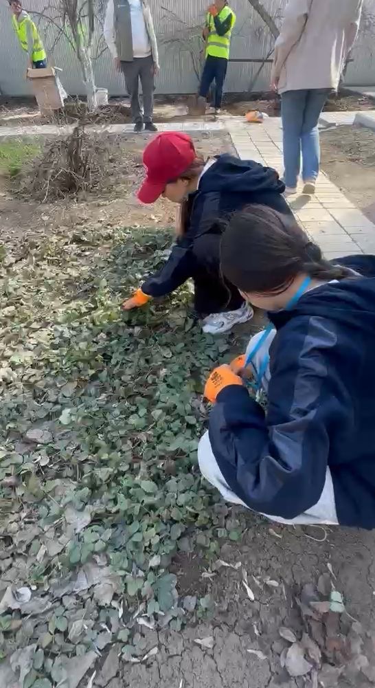 fa713b35-ca2a-4843-8a94-db6faeb17d46