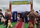 Выставка сельхозпродукции состоялась в рамках форума в Уральске