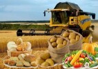 Производство продуктов питания увеличилось на 11,9% и превысило 665 млрд тенге