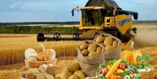 Производство продуктов питания увеличилось на 11,9% и превысило 665 млрд тенге