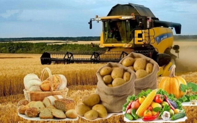 Производство продуктов питания увеличилось на 11,9% и превысило 665 млрд тенге