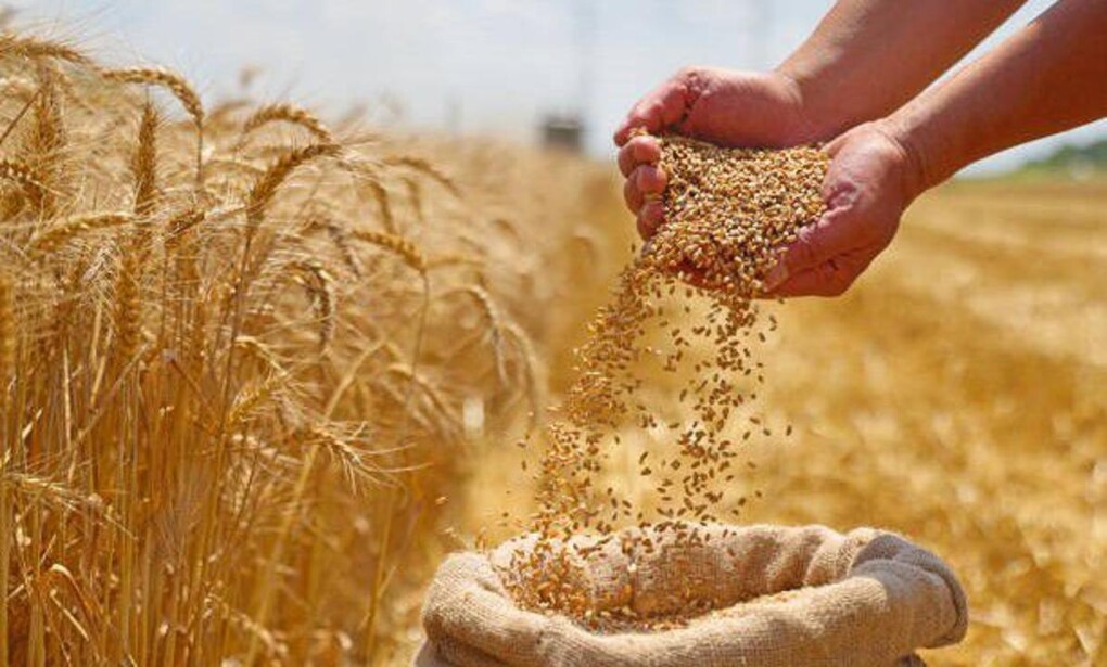 _gluster_2026_4_8_b6926767f6324886cabecd0b4b414a01_1280x720