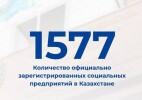 Количество субъектов социального предпринимательства в Казахстане выросло до 1577