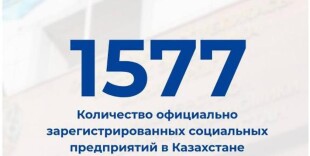 Количество субъектов социального предпринимательства в Казахстане выросло до 1577