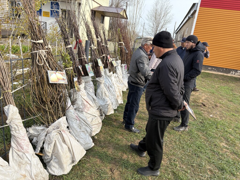 image-13-04-26-03-35-4 +++