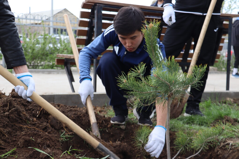 image-15-04-26-07-19-3